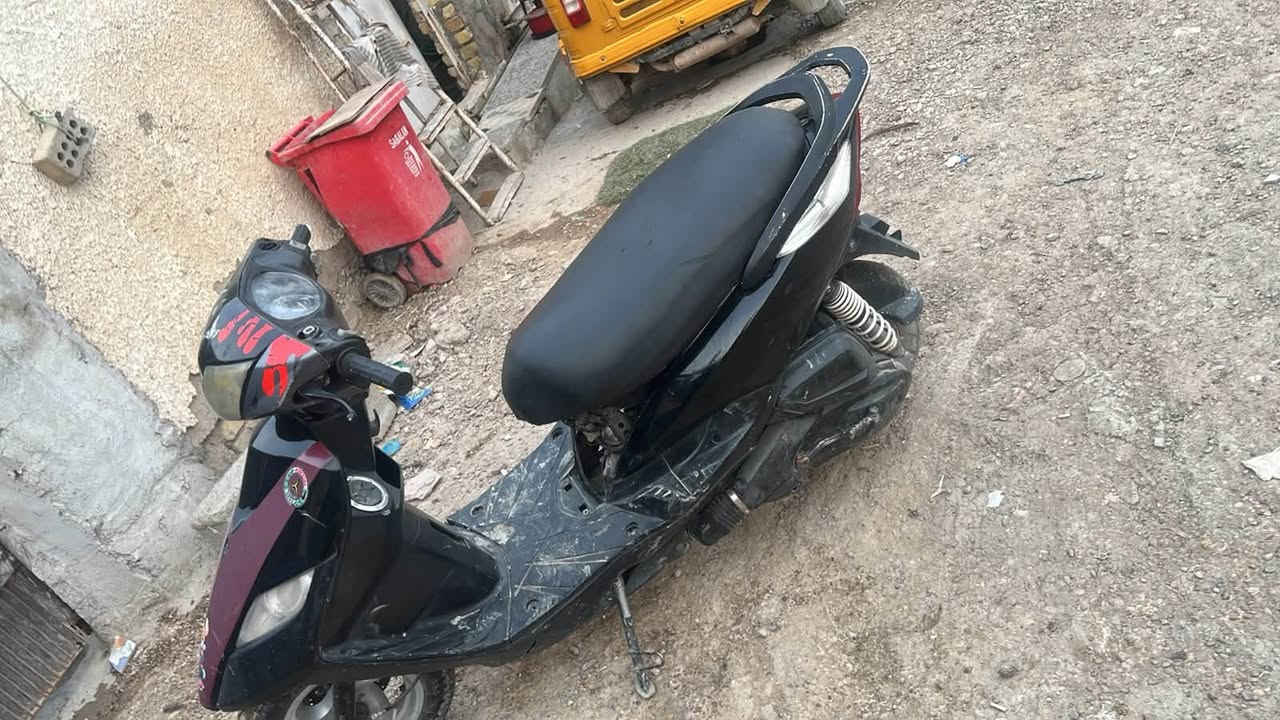 ثعلب • نضيفه • كهربائيات