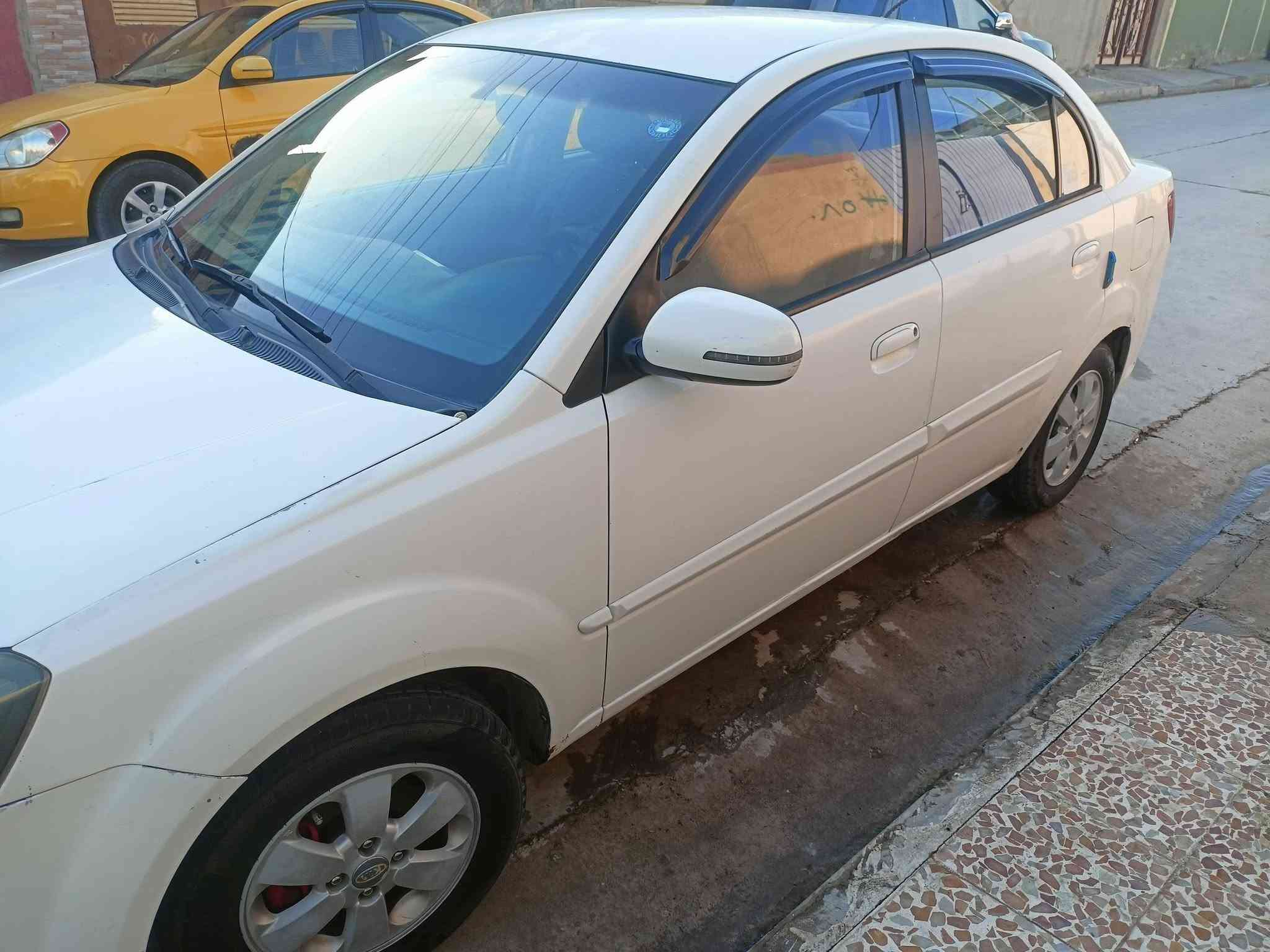 مراوس • ٣قطع • صبغ