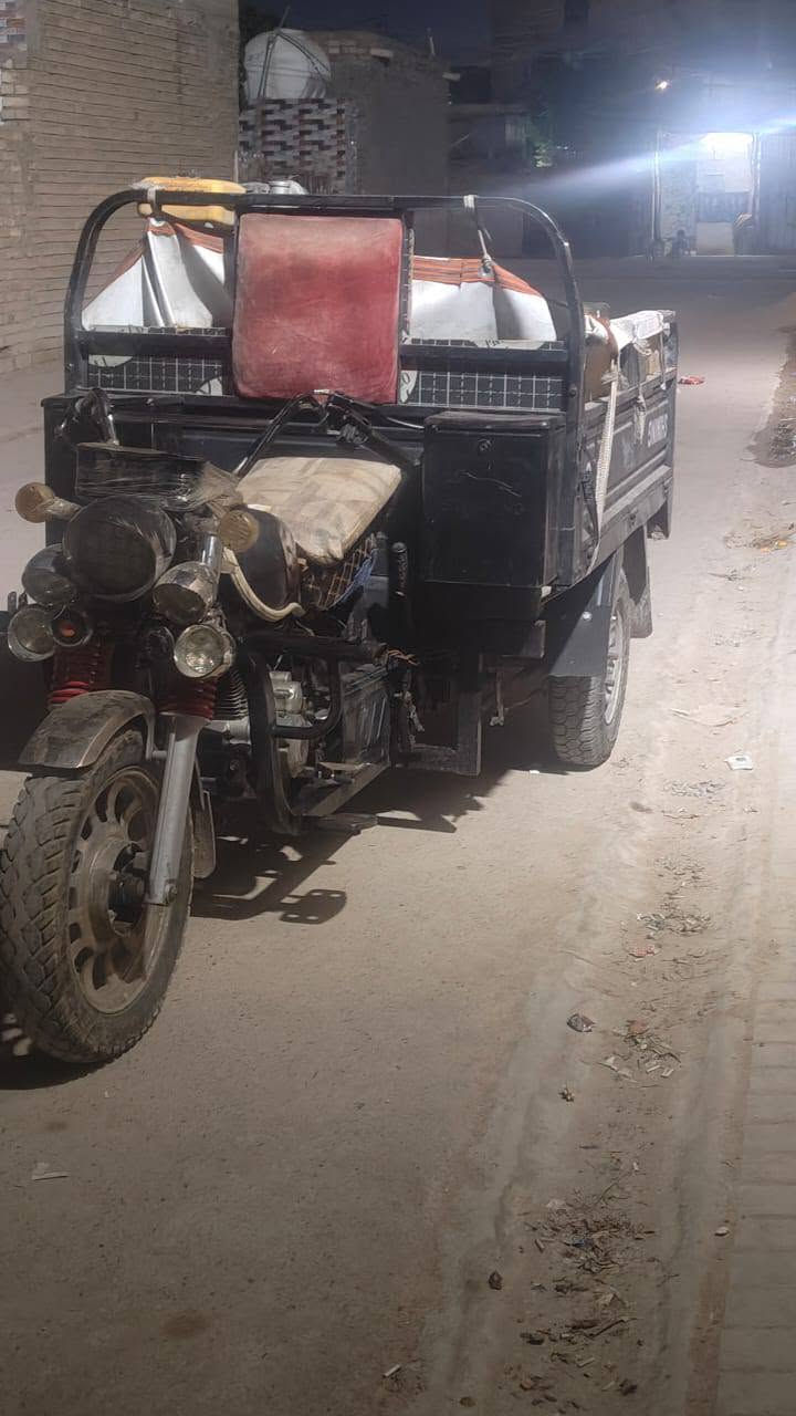 ستوته صقر • ٢٠١٩