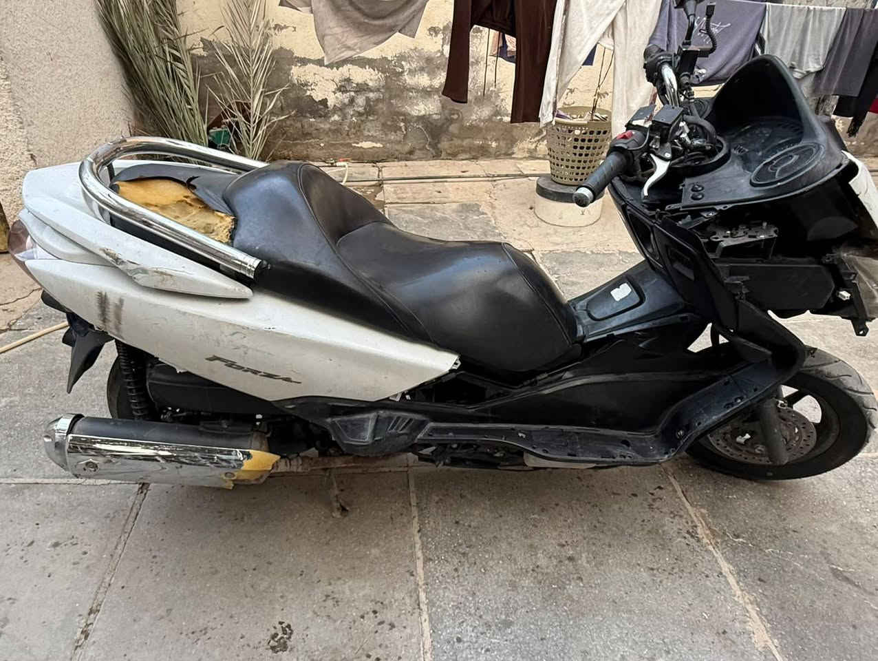 فورزة • بغداد • شعله