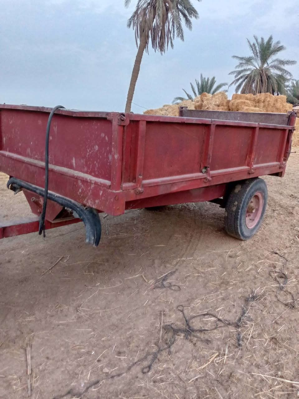 عربانه سكندريه • نجف • القادسيه