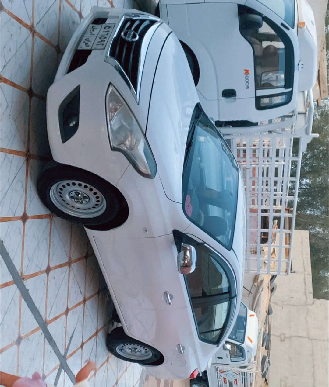 صني هندي • ٢٠٢٠ • كفالة عامة