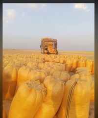 تبن • كمية محدودة • صلاح الدين