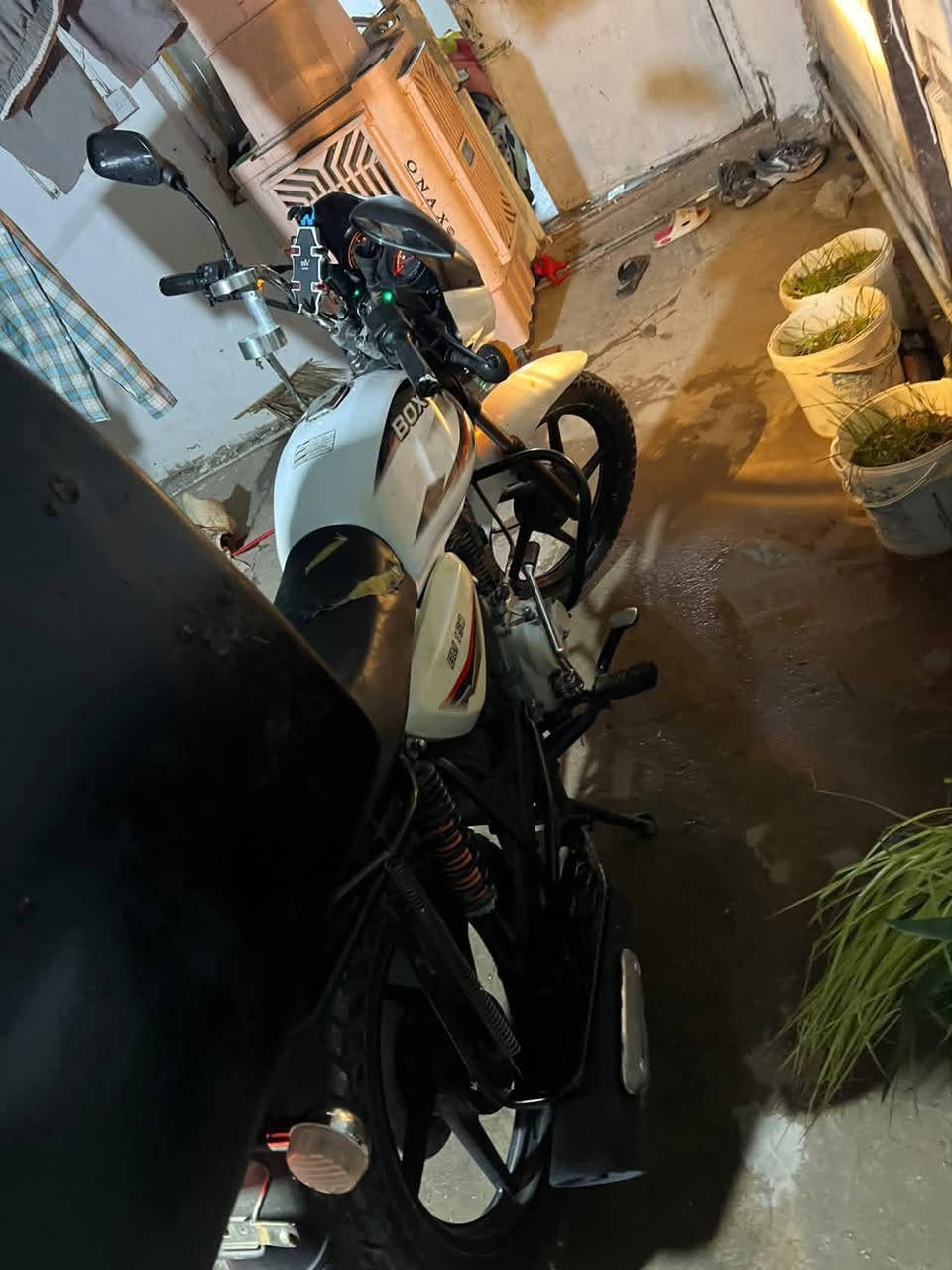 سلام عليكم درجه بوكسر البيع نضيفه حيل درجه موديل 2021مجفته قبل سنه مكينه ناعمع مابيه نقص عنوني بغداد الغزالي السعر 900وبيه مجال كلك نقص بس صفاحيه نكره سلف بكل الوقت***********

