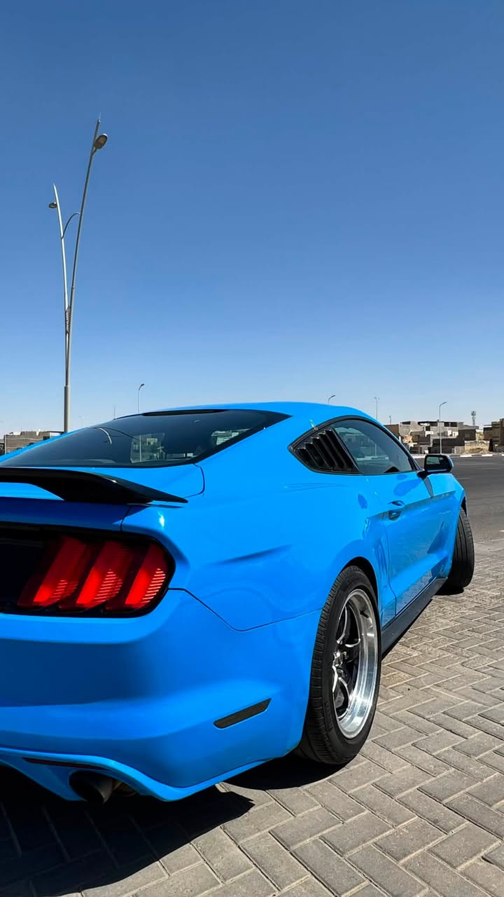موستنك 6 سلندر
موديل 2017 
لون مميز 💙
عليه دبات HT power
ويل ويلد

محرك گير كهربائيات كفالة 
لغود شواصي كفالة 

بيه 3 قطع سطحيات بدون دواخل 

تبديل بنيد بحادث امريكا و تصليح باب و جاملغ بالعراق 
مثل ما موضح بالسونار 

السونار بتاريخ 2026/6/16

حادث امريكا و حادث العراق و رقم الشاصي موجودات بالصور 

الحادثين سطحيات 

ايرباك استيرن فقط 

ماشية 64 الف ميل 

السيارة رقم بغداد بأسمي 

مكان السيارة البصرة 

لتواصل ***********

السعر 138
