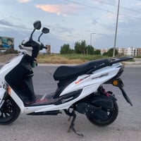 سكنز • صيني • ٢٠٢٤