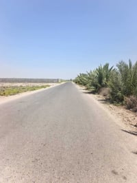 النساف • أرض • عقد زراعي
