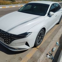ازيره غاز • ٢٠٢٣ • كوت