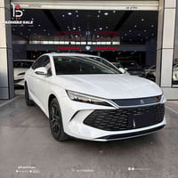 بي واي دي Qin L • ٢٠٢٥ • ٣٠٠٠٠ كم