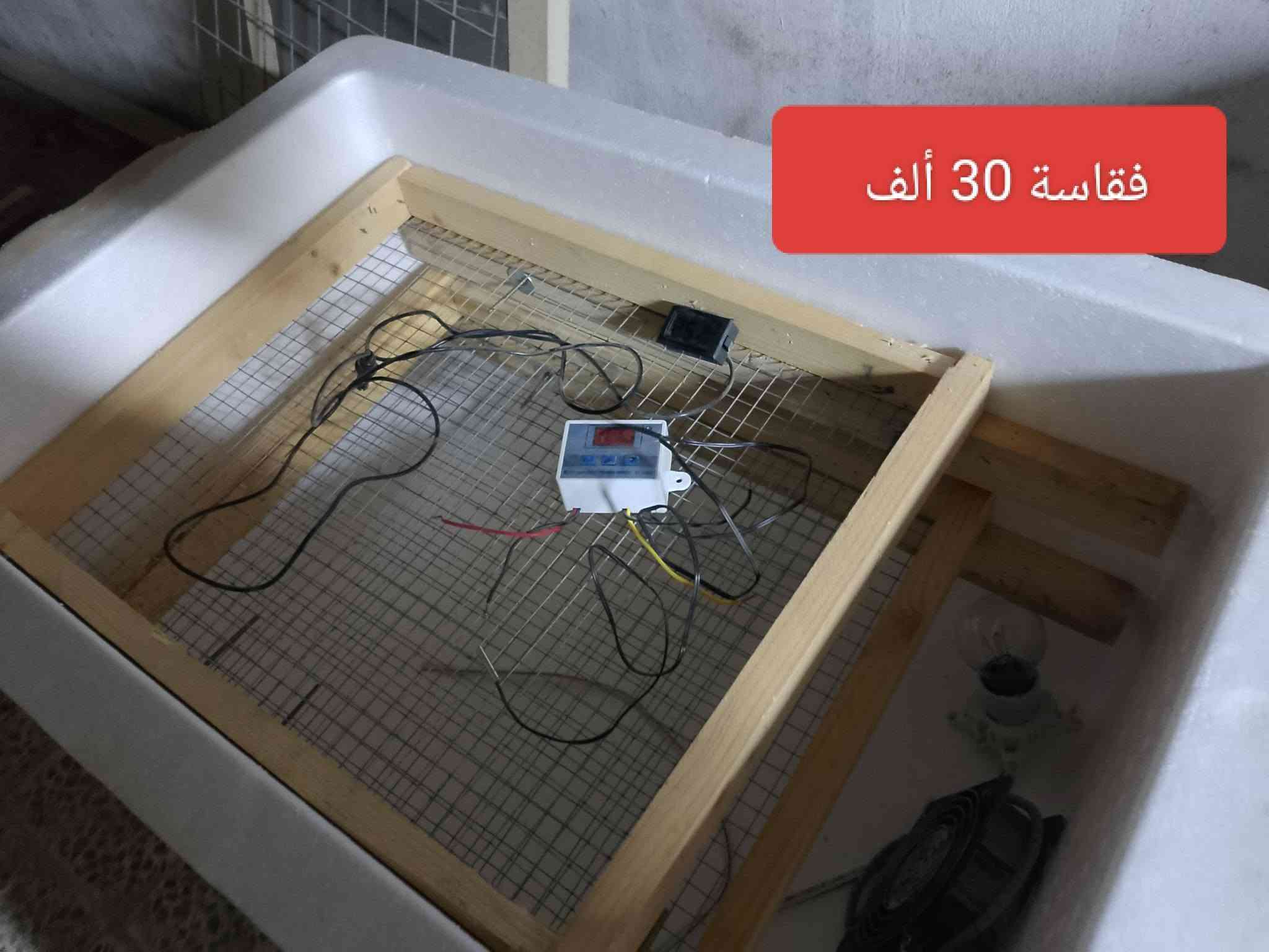 مجموعة غراض • الرحمة • فقاسة