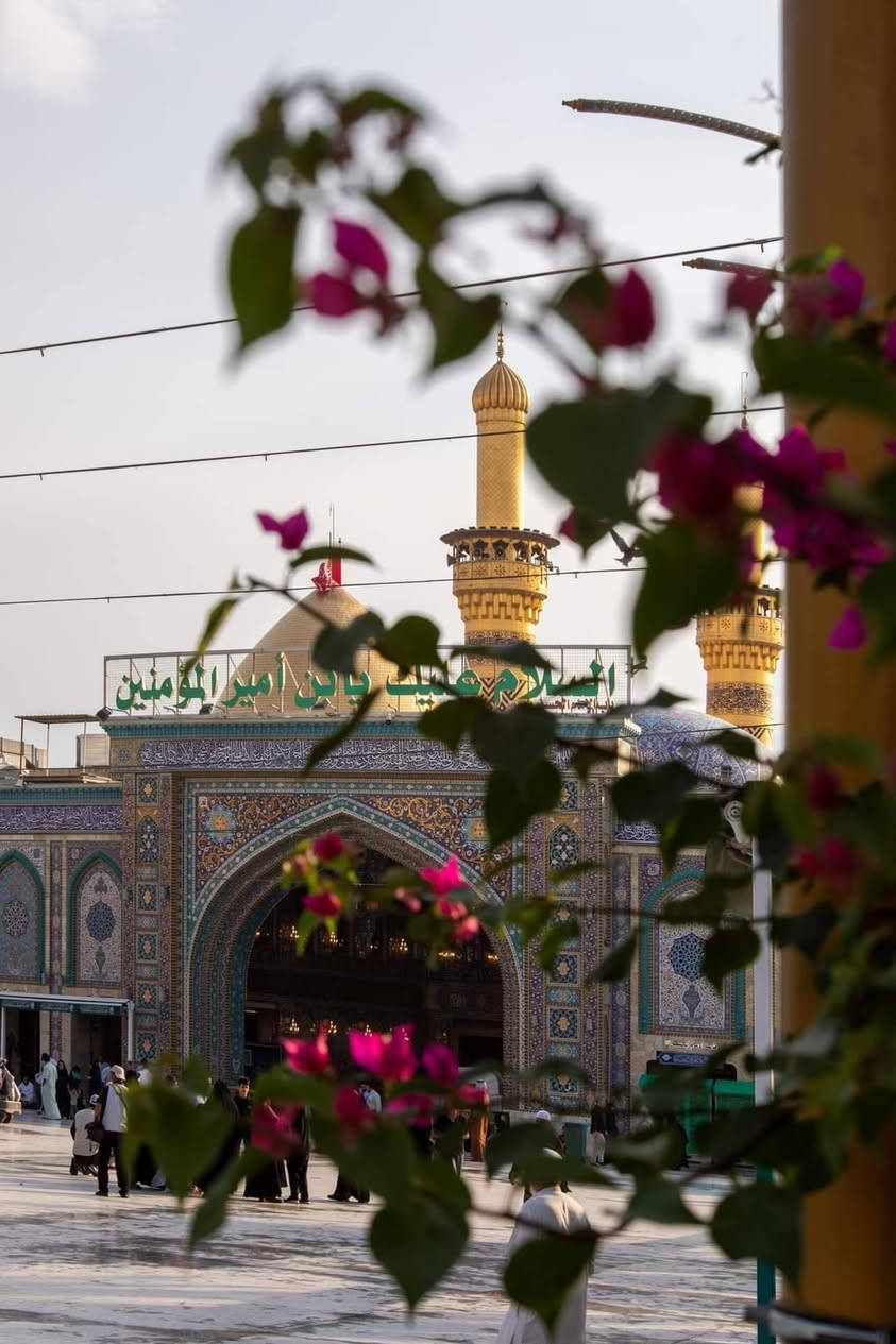 بسم الله برنامج الحملة يوم الخميس الى كربلاء و النجف الاشرف تفاصيل بالصور للحجز والاستفسار*********** واتساب محمد الماجدي
