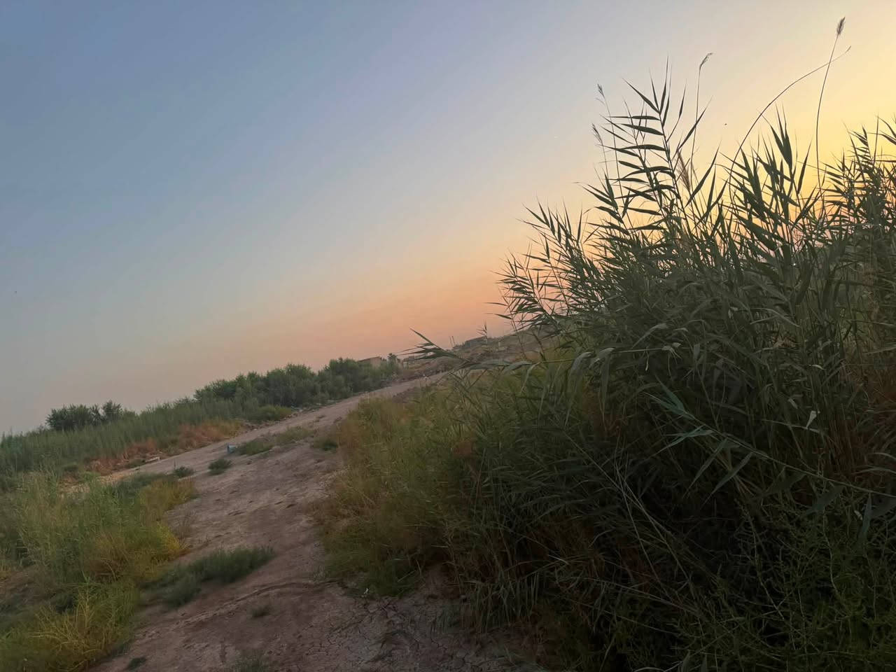 السلام عليكم دونم ونص طابو زراعي شرط التحويل على شارع الجسر الجديد عرض هذا الشارع مال الجسر 30 متر 
مزروعه بستان العام اي بعده جديد المشمش والتفاح مزرعه حلوه متكامله واصل ماء وكهرباء مكان حيل حلو
ويم الشارع مال جسر الجامعه تكريت الجديد 
الشارع محدد بلون الأصفر تريد دونم يرهم تريد دونم ونص يرهم 

الشراي يتصل ***********

