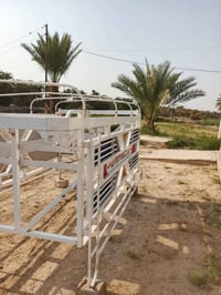 بابل • اكسسوارات