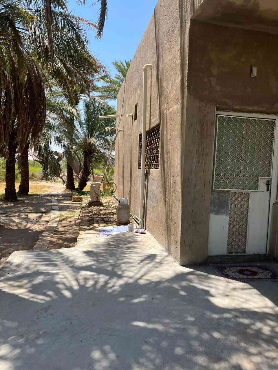 دونم ونص • بيتين • ٢٥٠م عن الطريق