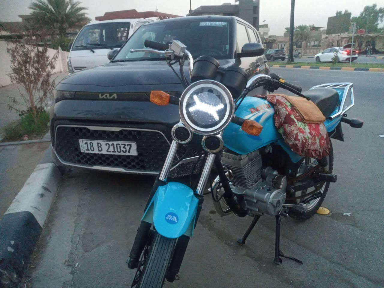 سم الله الرحمن الرحيم دايون للبيع حلوه ونظيفه اوراق اسكنار***********
