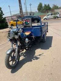 ستوته • ٢٠٢٣ • مكفوله