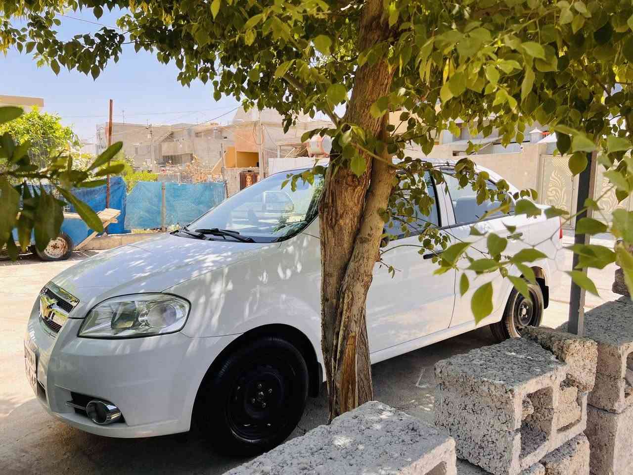 افيو ٢٠٠٨ مكينة كةورة كير عادي سلفو تةبرد بةشةرت كير مكينة تبريد دووبارجة سبوخ بي شورةوة لةكةل دووجي سارد بجوك بس سياركة شوشه ية هه مووشتي بةشةرت سةنةوي ٢٥بةسةر جوة تازة تاخم بيش كامل كوريوة جركةي نية بس ليخورة سقف شوشه بةشةرت تازة فحس و هه زةم كردوة سبي بنجة مورت بوكم سعر٥٦ توزيك مجال *********** أربيل, العراق
