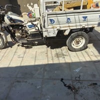 ستوته • مديل 15 • عاطلة