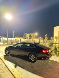 ماليبو • ٢٠٢٥ • كركوك