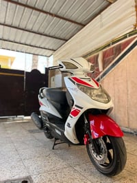 سكنس فحل • ياباني • كفاله