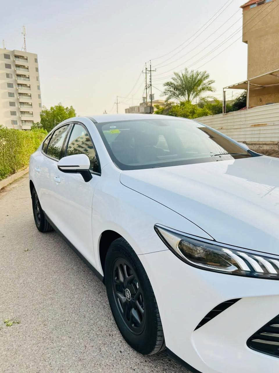 بيوايدي كن بلاس • ٢٠٢٥ • كفالة صبغ وبارد