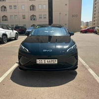 بيوايدي • ٢٠٢٥ • كفالة عامه
