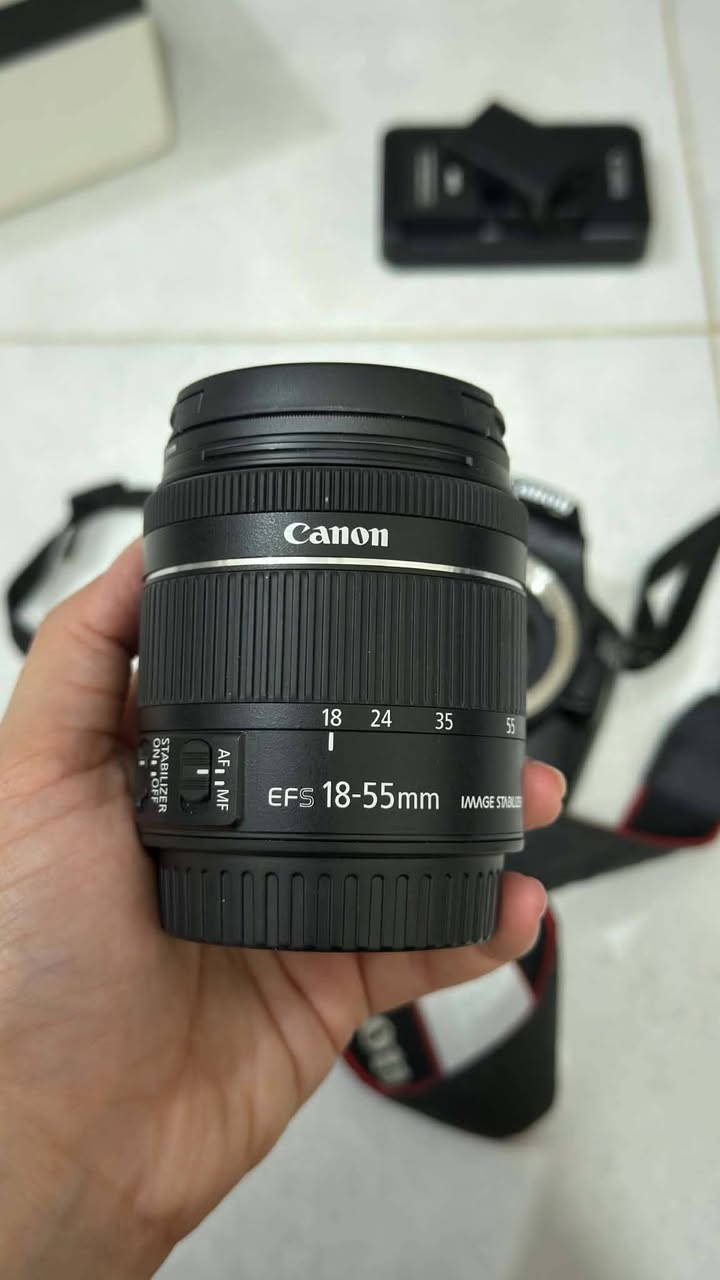 كانون 250D • عدسة Sigma 24-70 • فلاش Godox V1