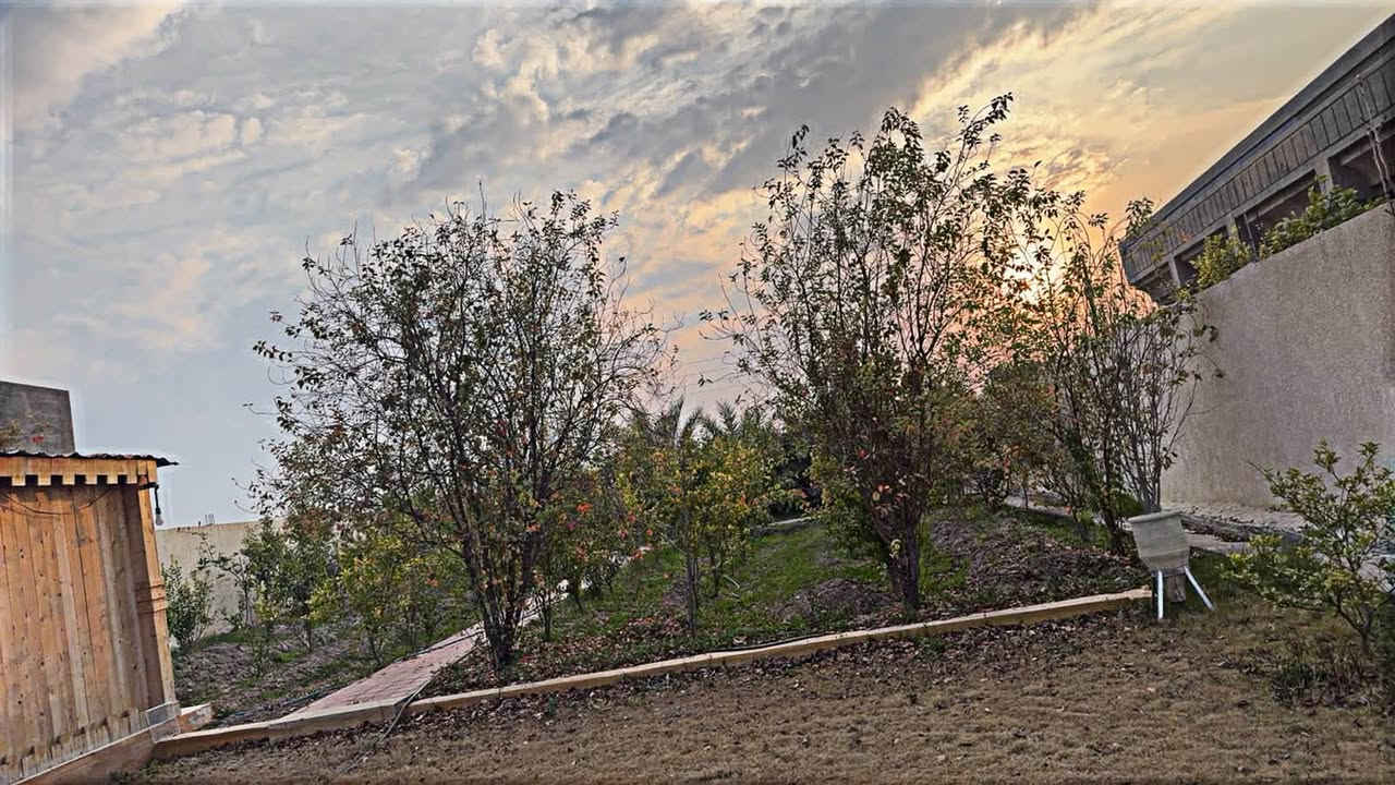 مزرعة • ١١٠٠م • سند ٢٥