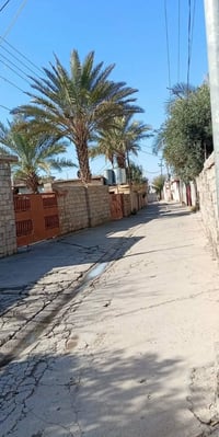 الجرية • كورنيش • غرفتين