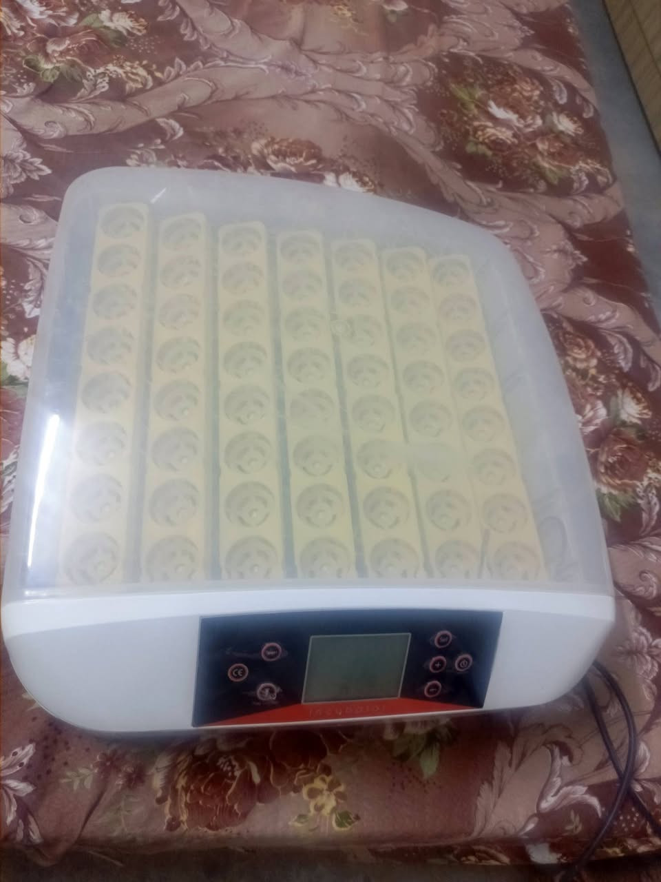 فقاسة • ١٢ بيضة • ٥٦ بيضة