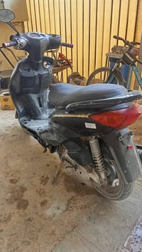 سكنس نثية • كابريتر • ناقص صبغ