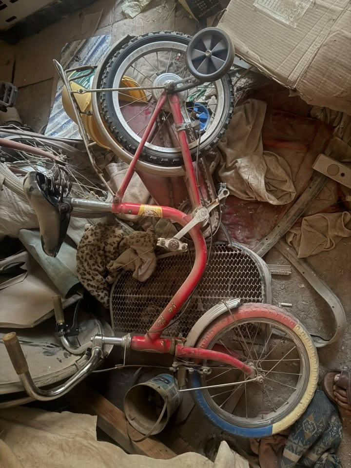 باسكلات للبيع مكانهم الرمادي
الجوزي نضيف تايرات وجواب جدد بس عوزة سرج 

سعرة 65  وبي مجال لشراي 
والأحمر ياباني اصلي من القديمات جديد ونضيف مستخدم قليل ضامي بالمخزن من سنين وشوفة عينكم صورته وبعد شكلة بالحقيقة احلى سعرة 75 وبي مجال بشرتي انشاءالله 

***********
