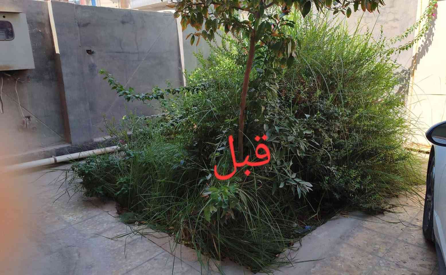 ديكورات حدائق • زراعة ثيل • تنضيف وحراثة
