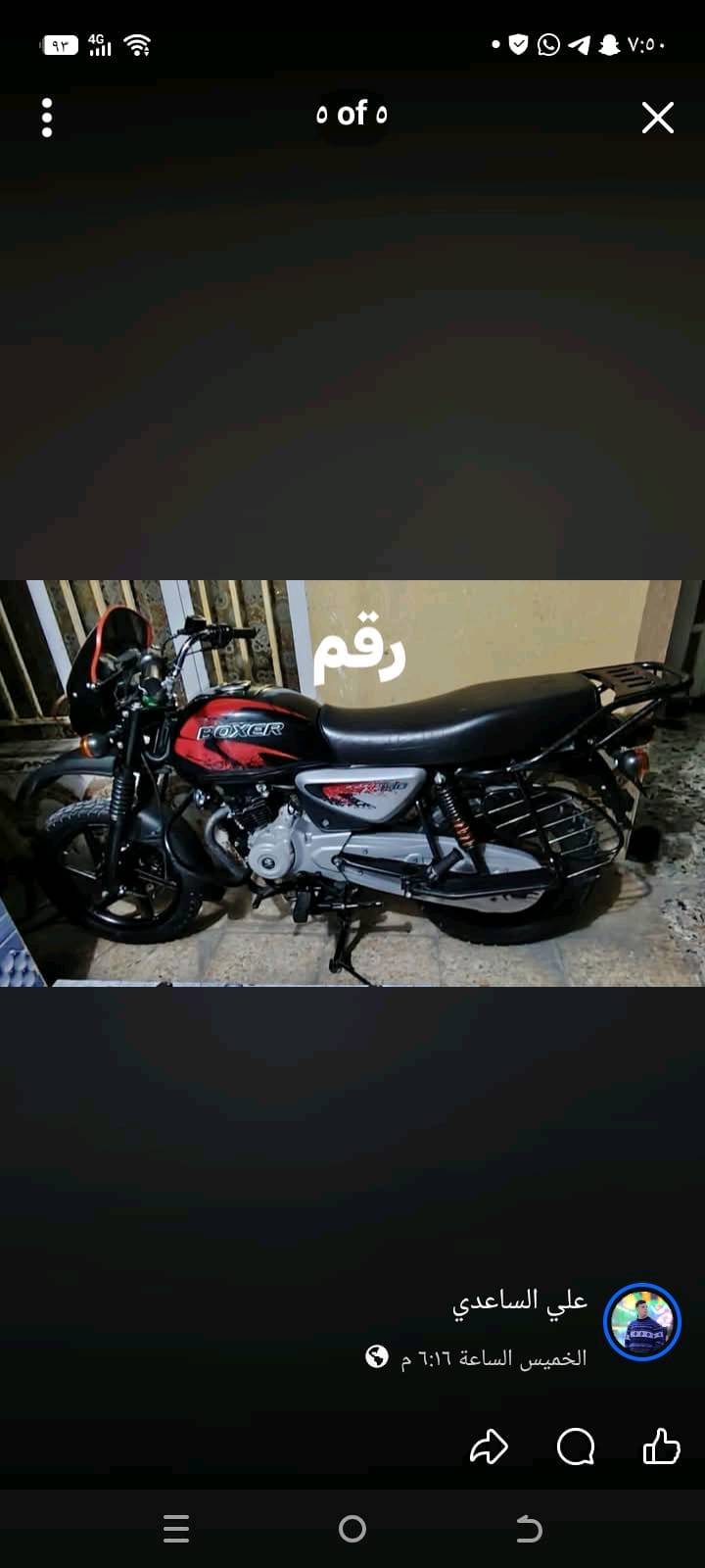 بوكسر جبلي • رقم • سنويه