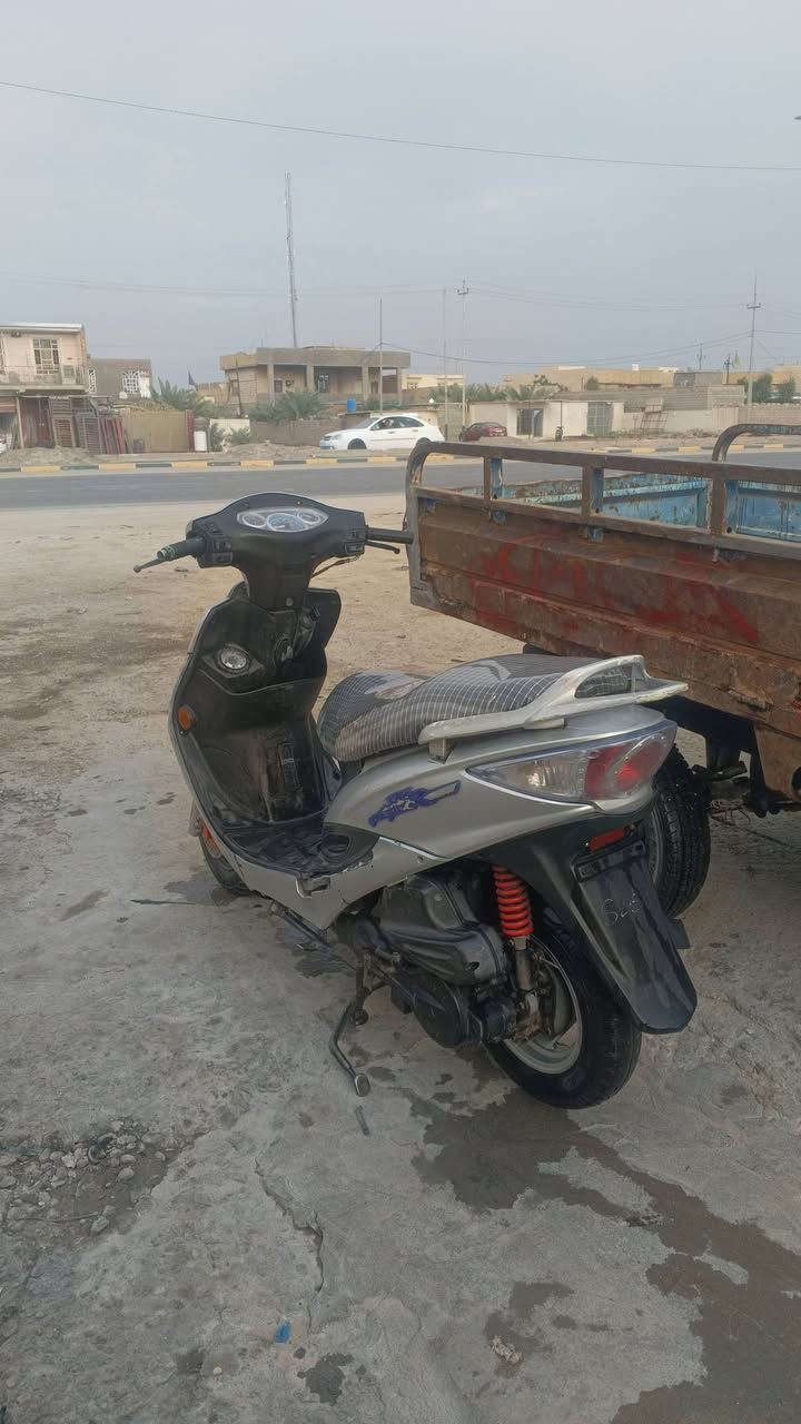 مراوس • سلف • نظيفه