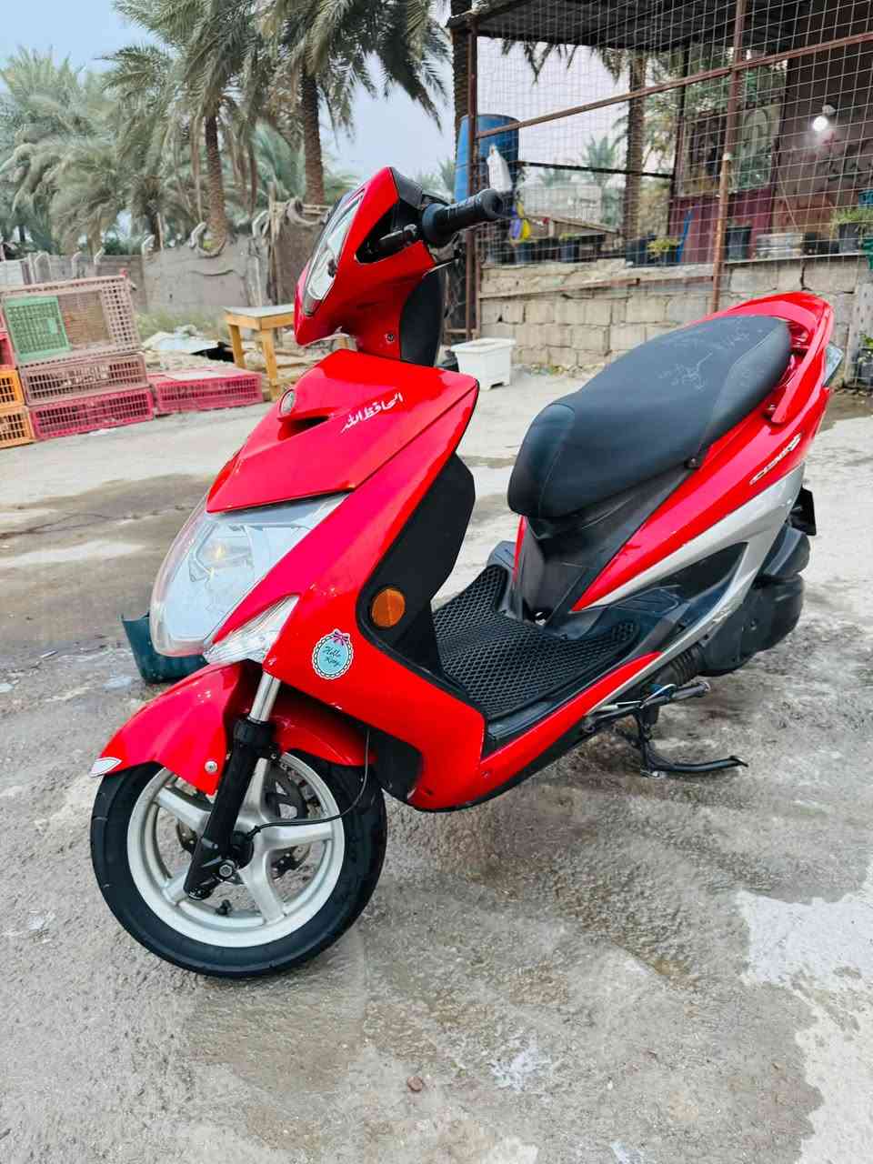 سكنس لد • جديده • كفاله عامه