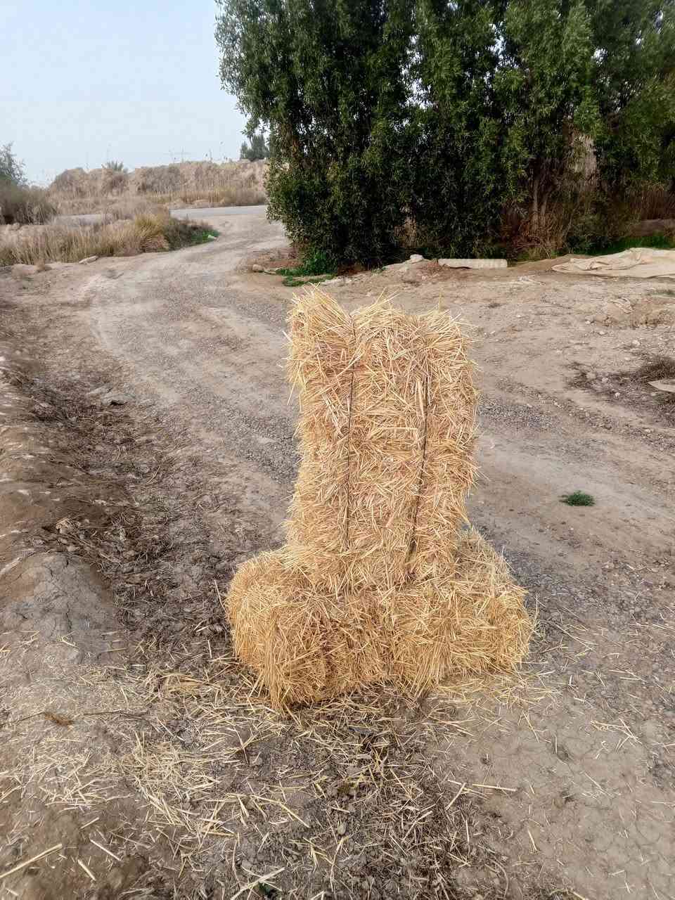 سلام عليكم يوجد لدينا تبن البيع سعر تصال عل رقم ***********
