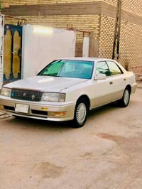 رأس الثور • كارتون • سنوية مجددة