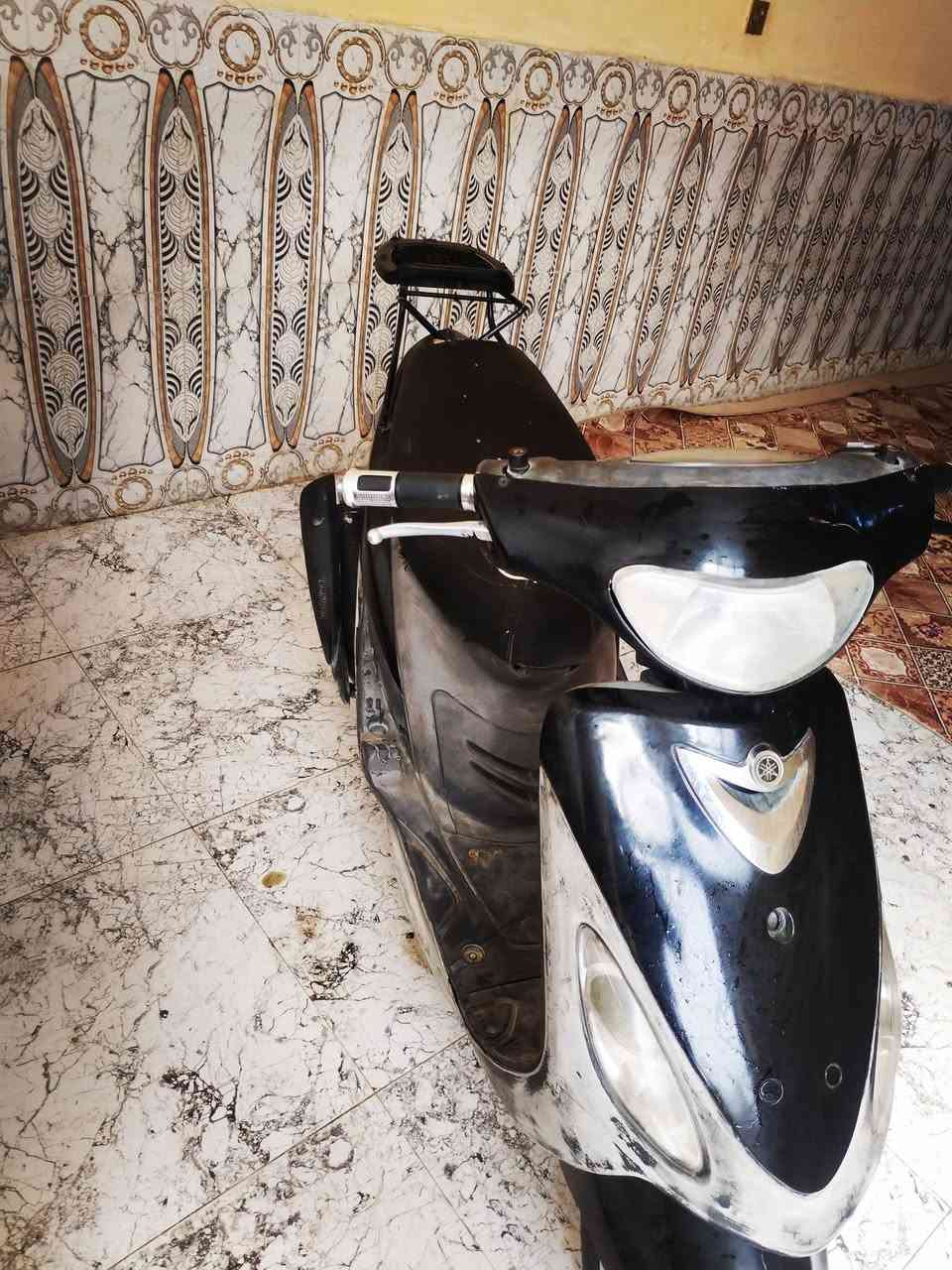 ماكس منغولي • ٥٠ • ٦ أشهر