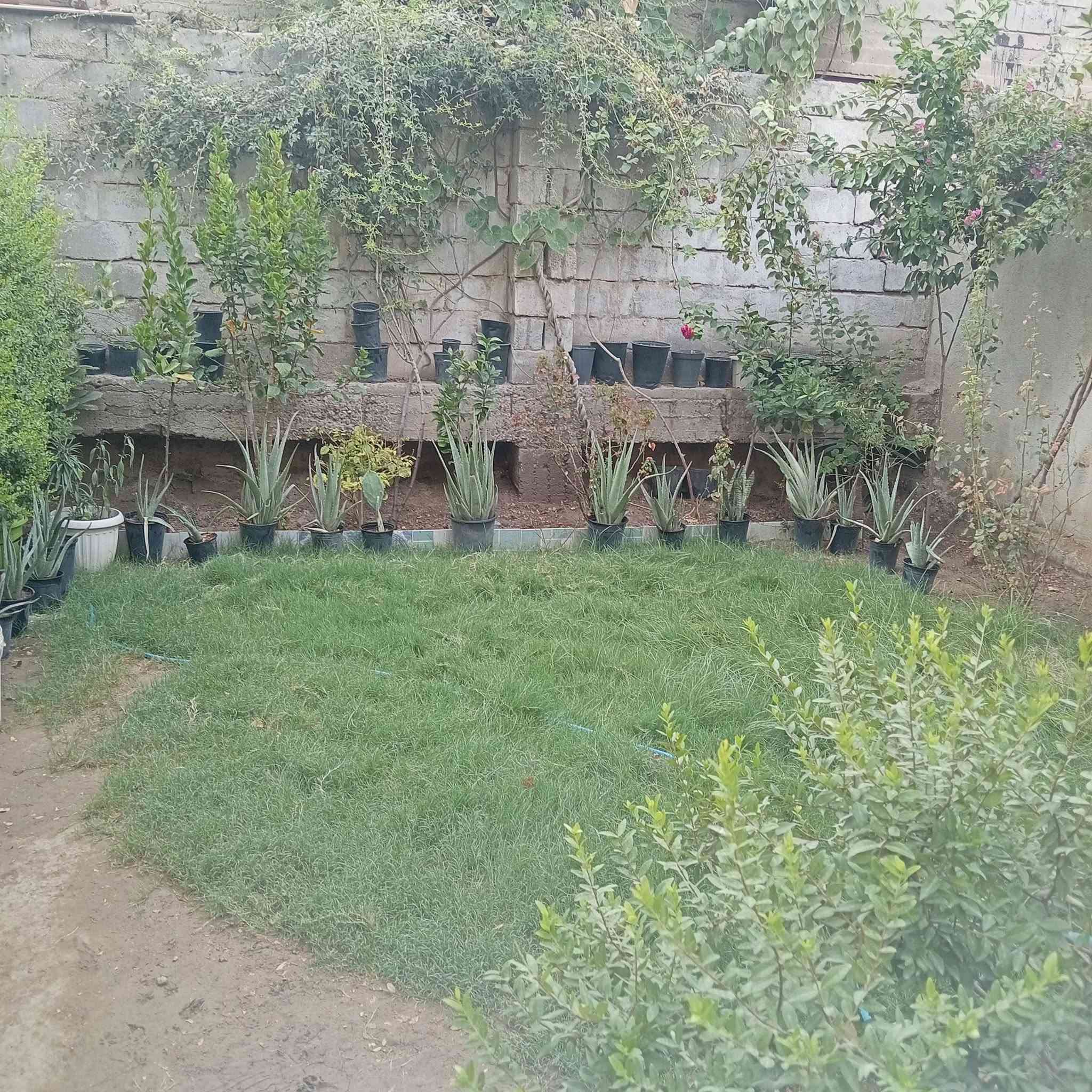 سلام عليكم دار للبيع ابو خستاوي شارع سيد علي طابو زراعي سند 25 المساحه 260 مطبخ استقبال غرفة نوم كلدور مجمع صحيات حديقه كبيره قريب عالشارع
*********** السعر 75
