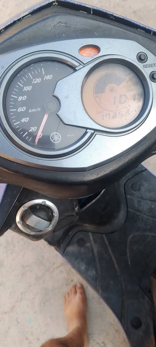 سكنس فحل ياباني قبق نفخ البيع او مروس سعر 750الف بغداد مدينه ***********
