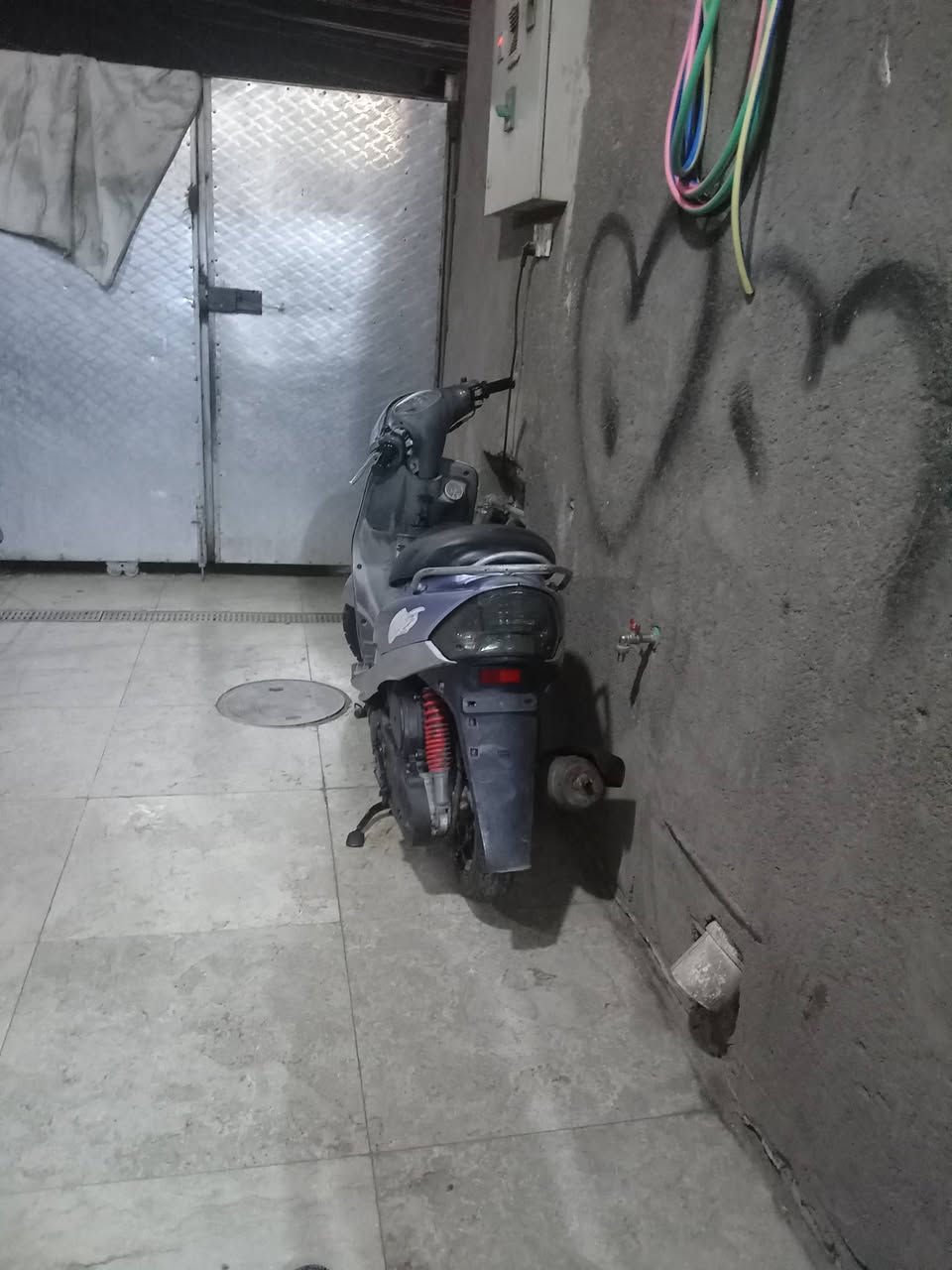 مرحبا ماكس منغولي للبيع عنوان شارع فلسطين ***********
