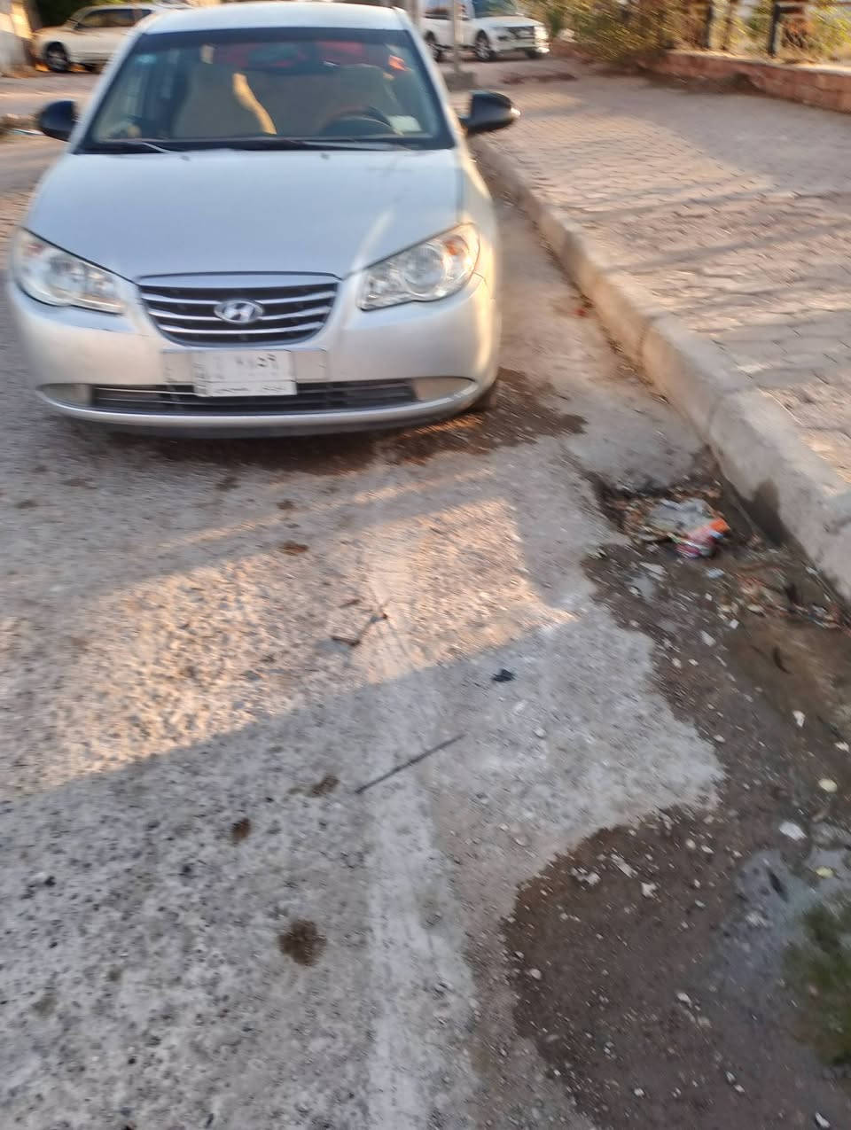 السلام عليكم الانتره ٢٠٠٧رقم ذي قار  مكانها بالكوت بيها جراد خليجيه مكينه كيرتبريدجاهزه ***********
