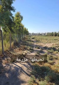 دونم زراعي للبيع 2500 متر مربع ابوغريب الشيحة على خط السريع مباشر  الس...
