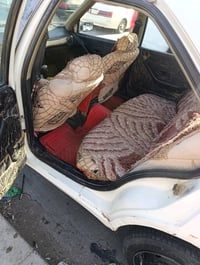بيجو روى • 2009 • مكينة كورلا