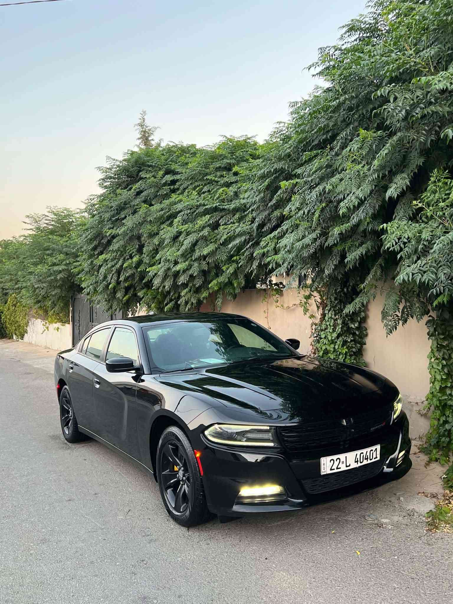 Dodge charger 2017  SXT
دوج چارجر ٢٠١٧ کلین تایتل
مواسەفات sxt
شاشەگەورە
بەصمە
شەخال
دەرگا بەصمە
کوشن کارەبا
حاسە
کامیرا
گێڕو مە کینەی بەشەرت نەکراوەتەوە
بێ بۆیاخو بێ ساردو بێ پارچە گۆڕانە تەنانەت دەعمیەکانیشی بە شەرت بۆیاخی نیە
هەموو گیانی بە شەرت
لە سەر دەقی شەریکە ماوە
دەعمی بۆ دەعمی بە شەرت
شوین سلیمانی 
***********
