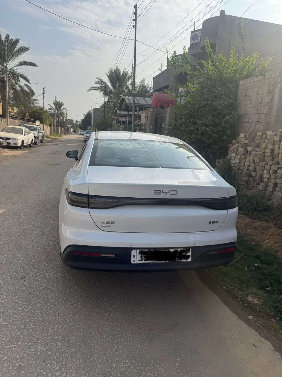 سيل 5 • ٢٠٢٥ • كفاله عامه