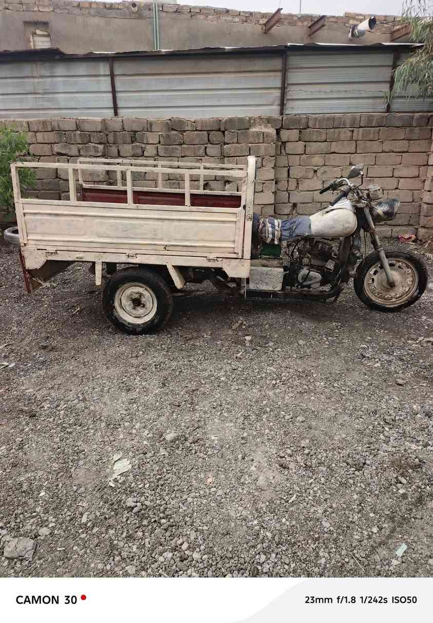 ستوته • ام تي ار • ٢٠١٣