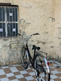 بيسكل • نضيف • حلو
