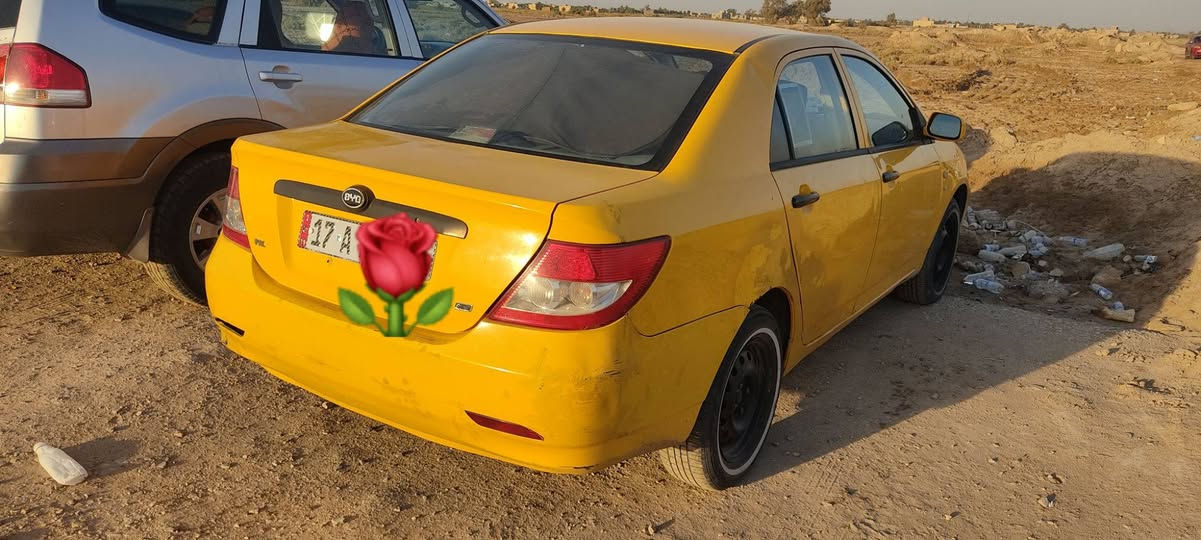 بي واي دي F3 • ٢٠١٩ • رقم مثنى